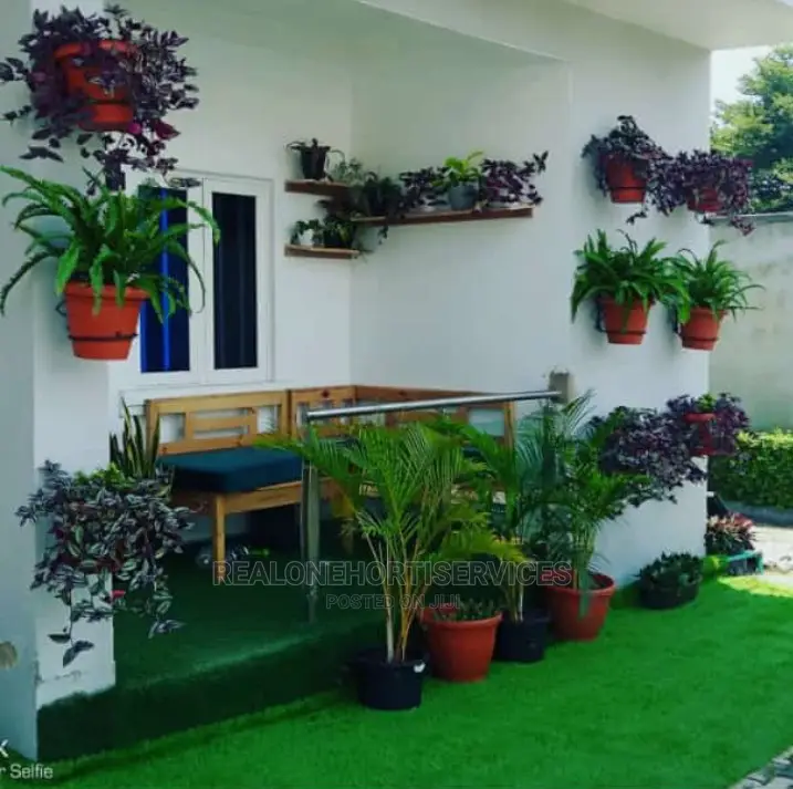 Plant at Home