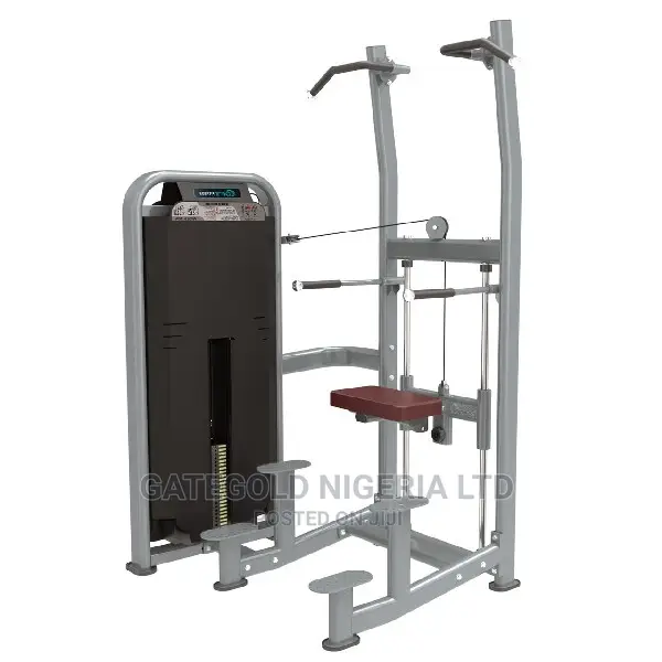 DFT1609 Weight Assisted Chin+ Dip