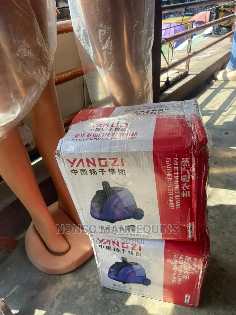Yangzi Garment Steamer