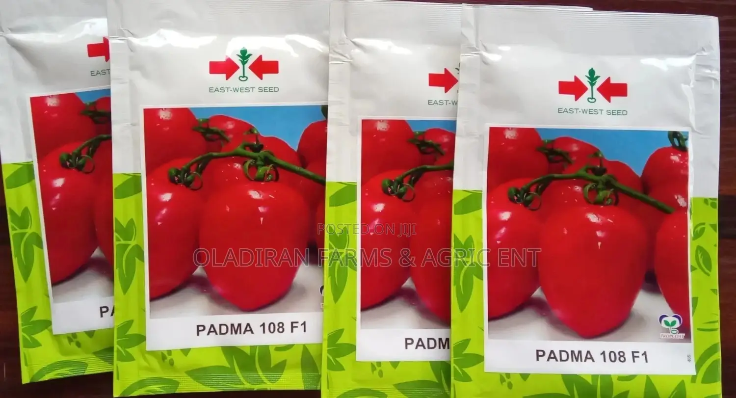 Padma F1 Tomato Seeds ( East West Seed)