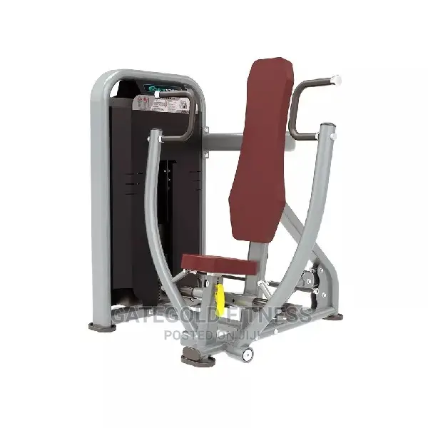 DFT-1601 Commercial Vertical Chest Press