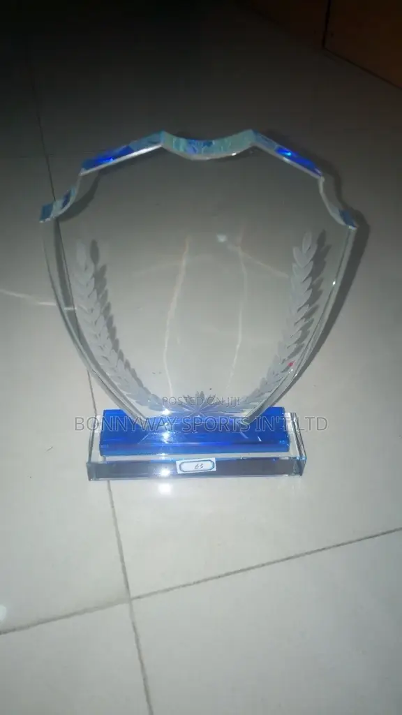 All Types Of Award Glasses