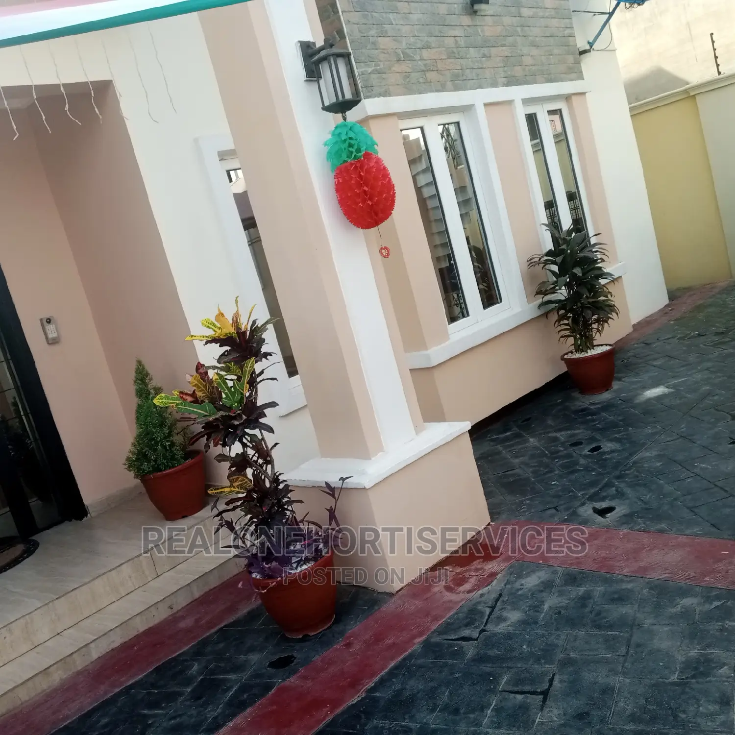 Potted Plant at Home Values and Healthier Living
