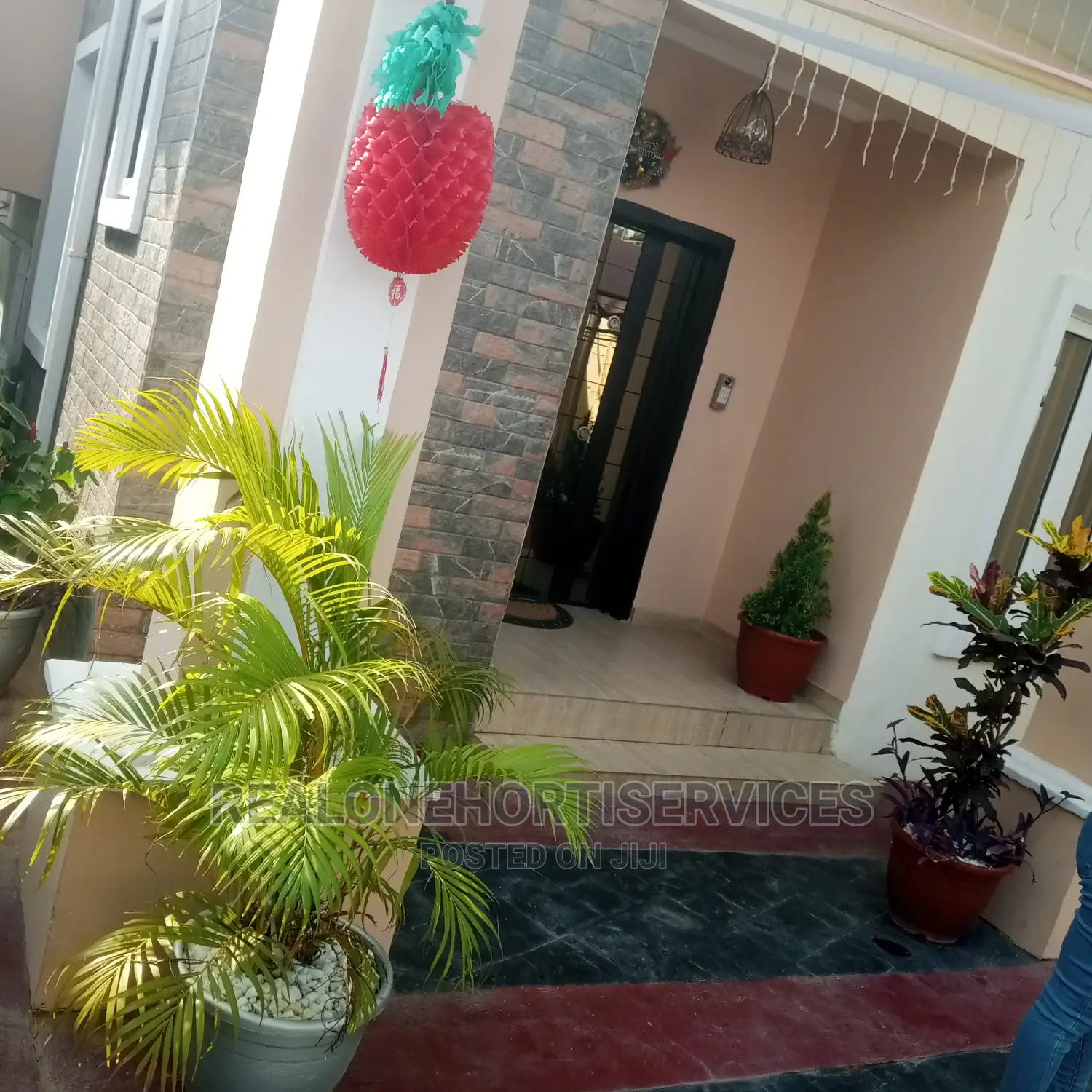 Potted Plant at Home Values and Healthier Living