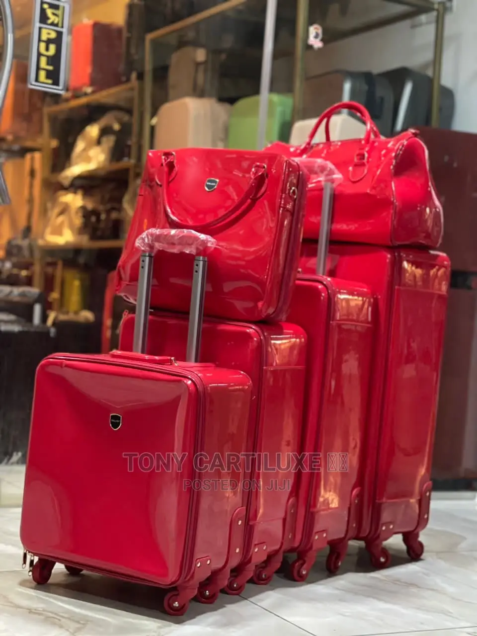 Luxury Traveling Bag