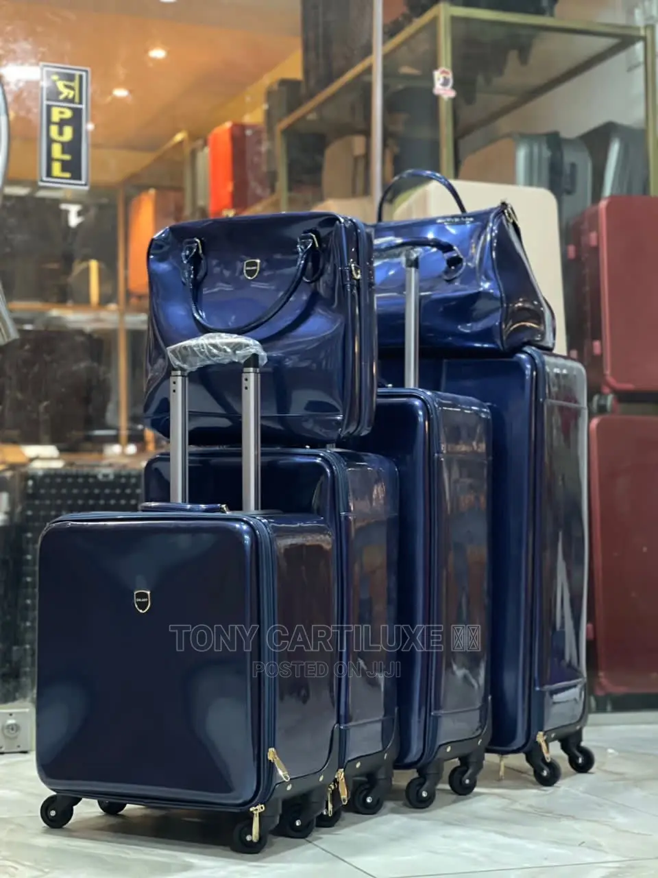 Luxury Traveling Bag