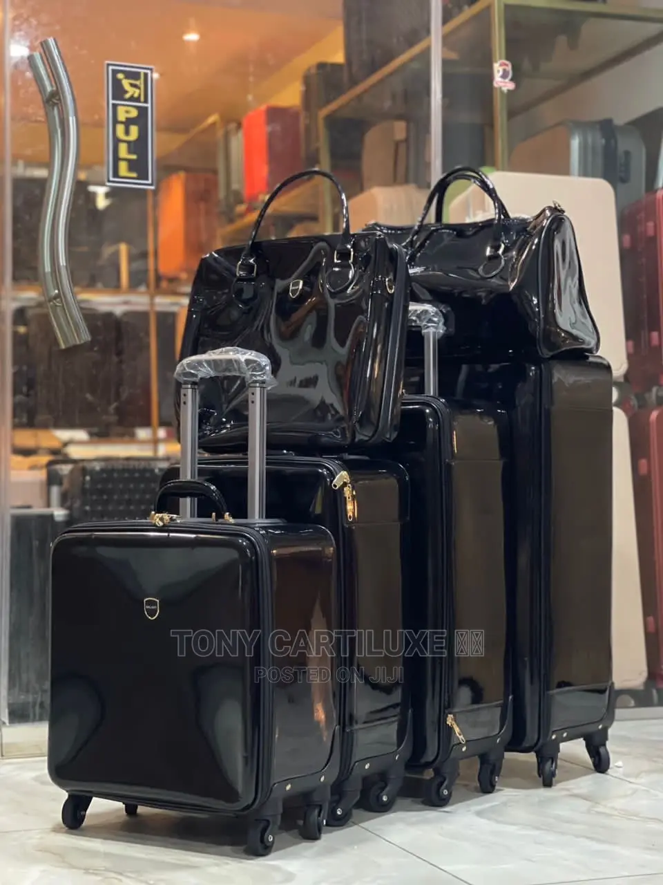 Luxury Traveling Bag