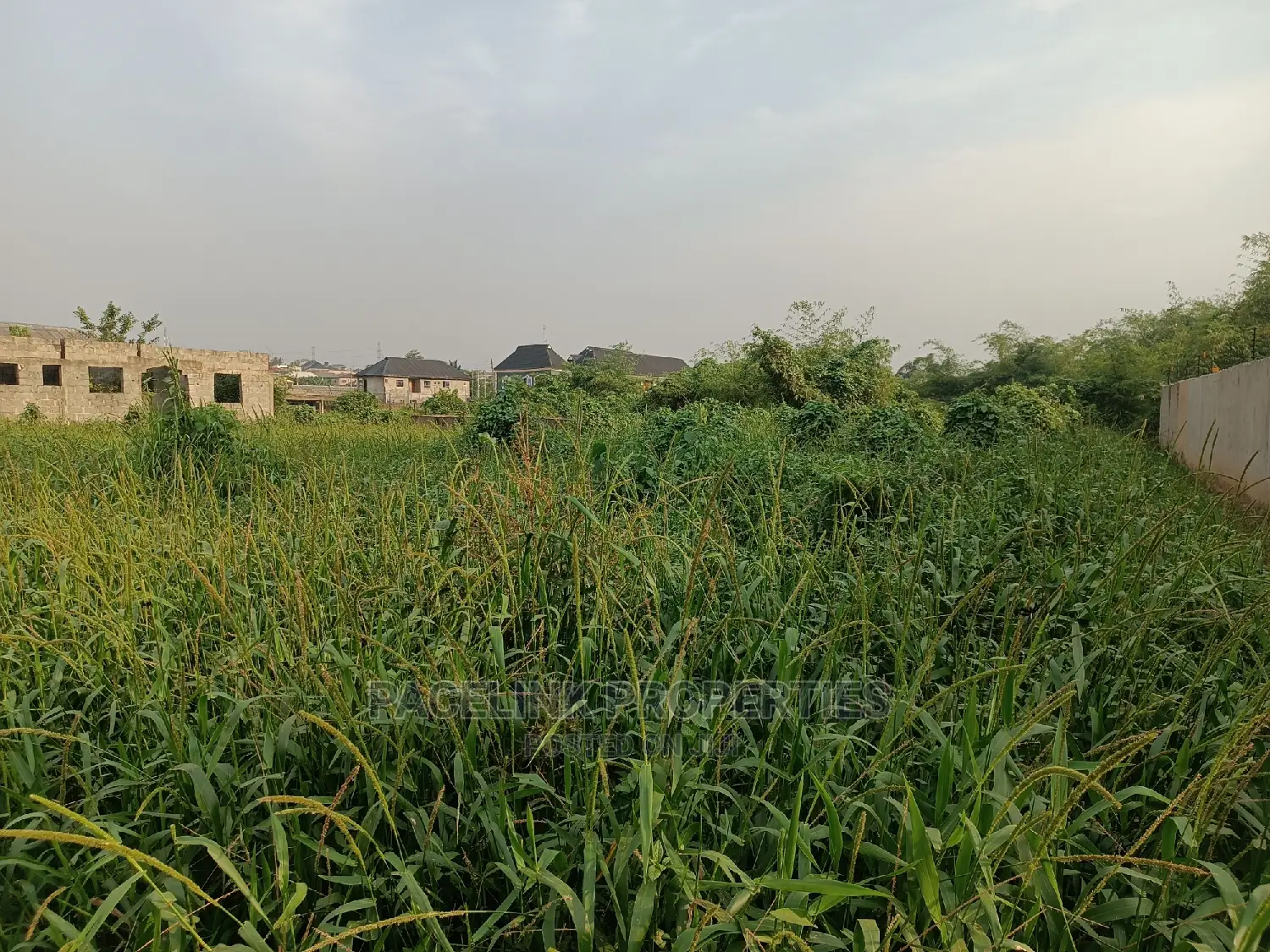 Full Plot of Land in a Good Location at Ikola Command