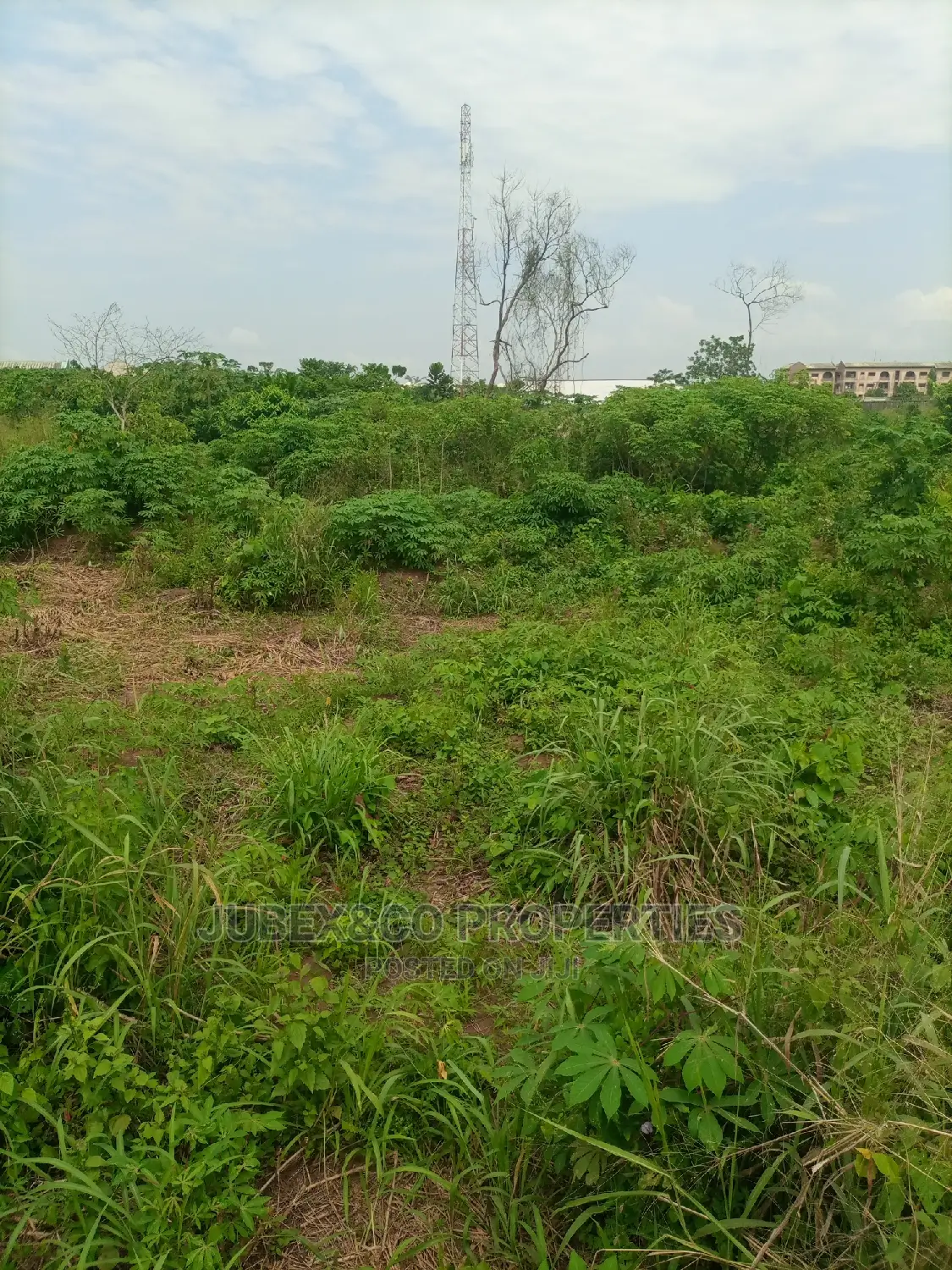 Half Plot of Land for Sale at Peace Estate Alimosho