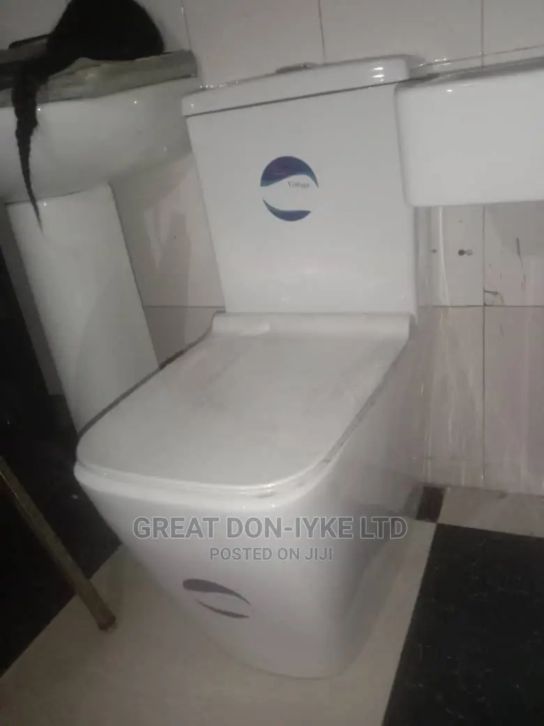 Exclusive Dual Flush Pressing WC Set