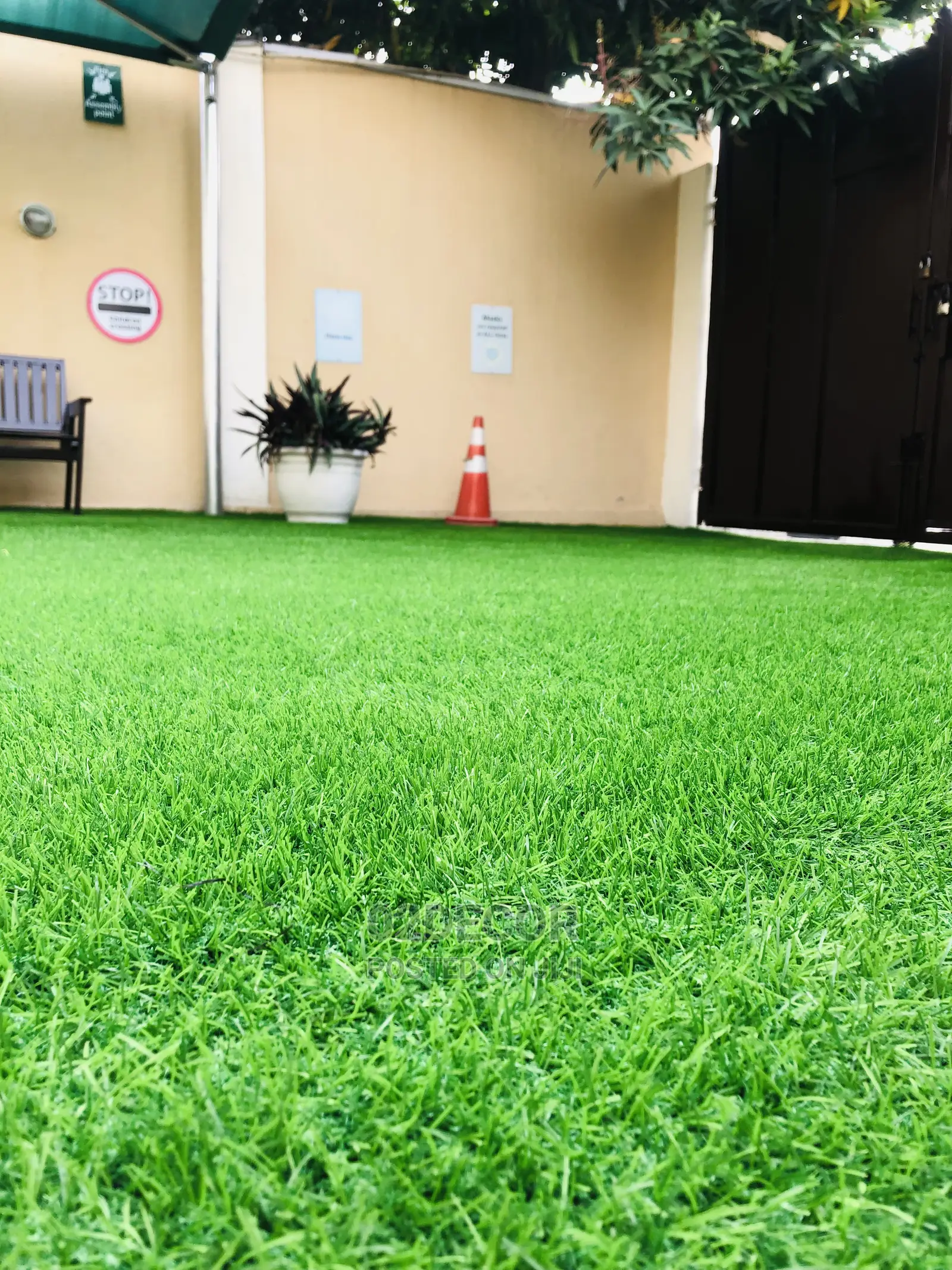 25mm Green Grass Rugs