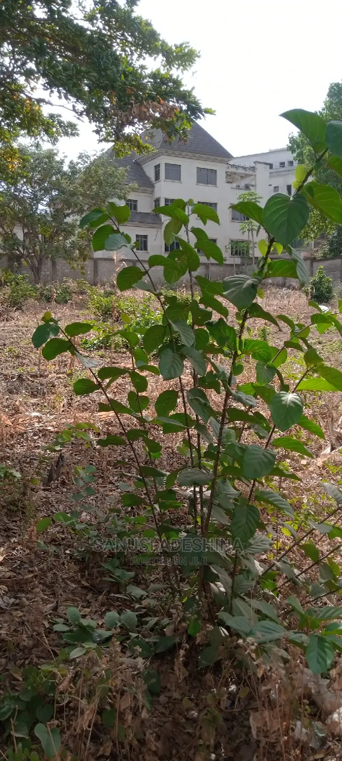 A Very Good Plot About 1600sqm Located at Wuye FCT Abuja Nig