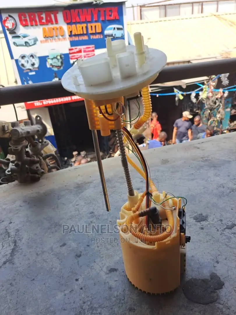 Complete Fuel Pump Land Rover 016
