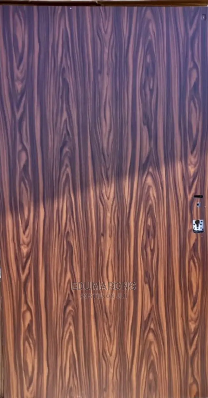 Standard Israeli Security Door