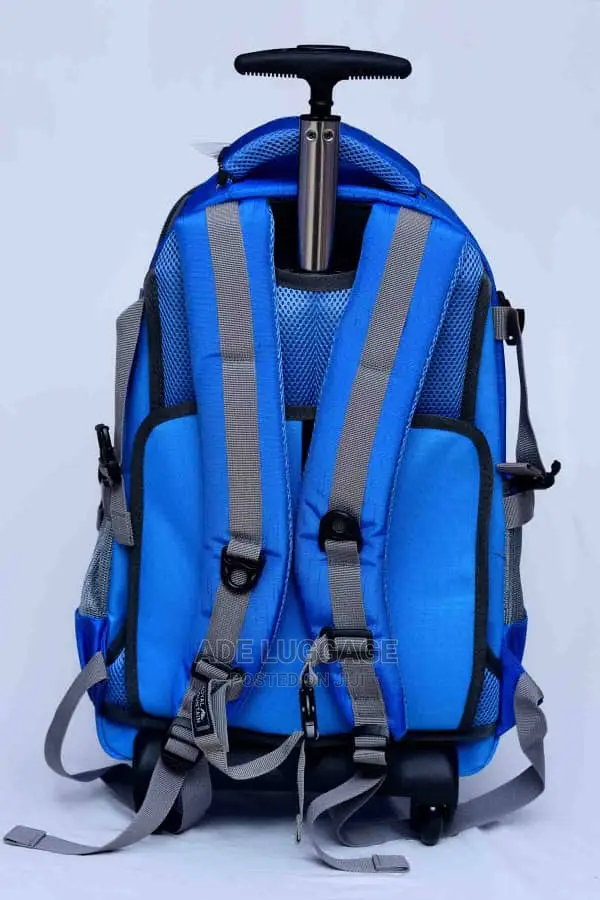 Beautiful Luggage Backpack