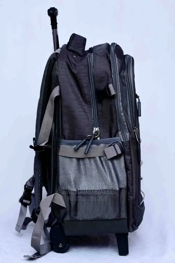 Beautiful Luggage Backpack