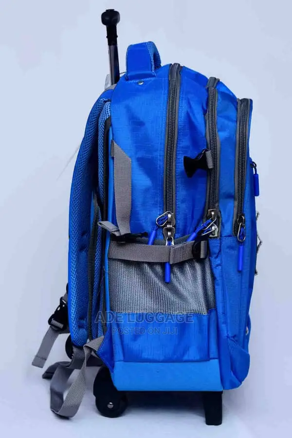 Beautiful Luggage Backpack