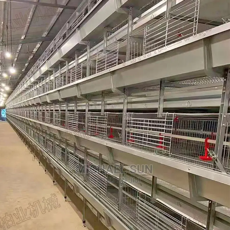 Poultry Cage Layer Cages