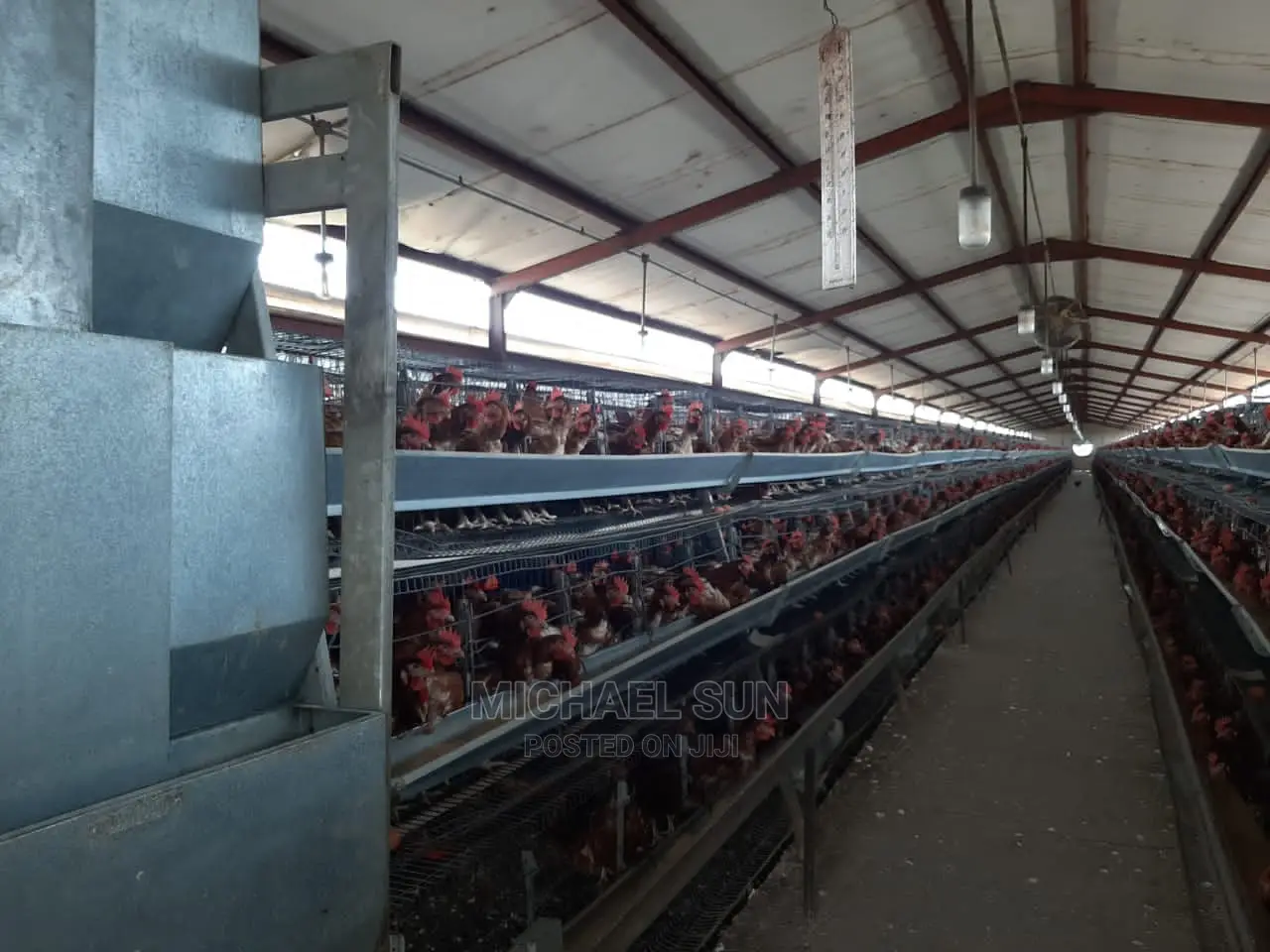 Poultry Cage Layer Cages