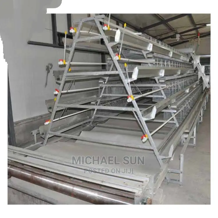 Poultry Cage Layer Cages