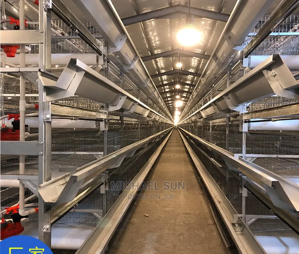 Poultry Cage Layer Cages