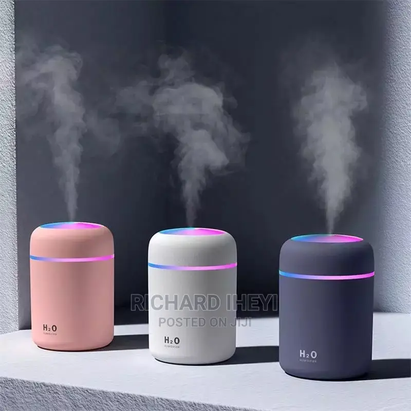 Mist Sprayer Portable Air Humidifier Aroma Oil Diffuser