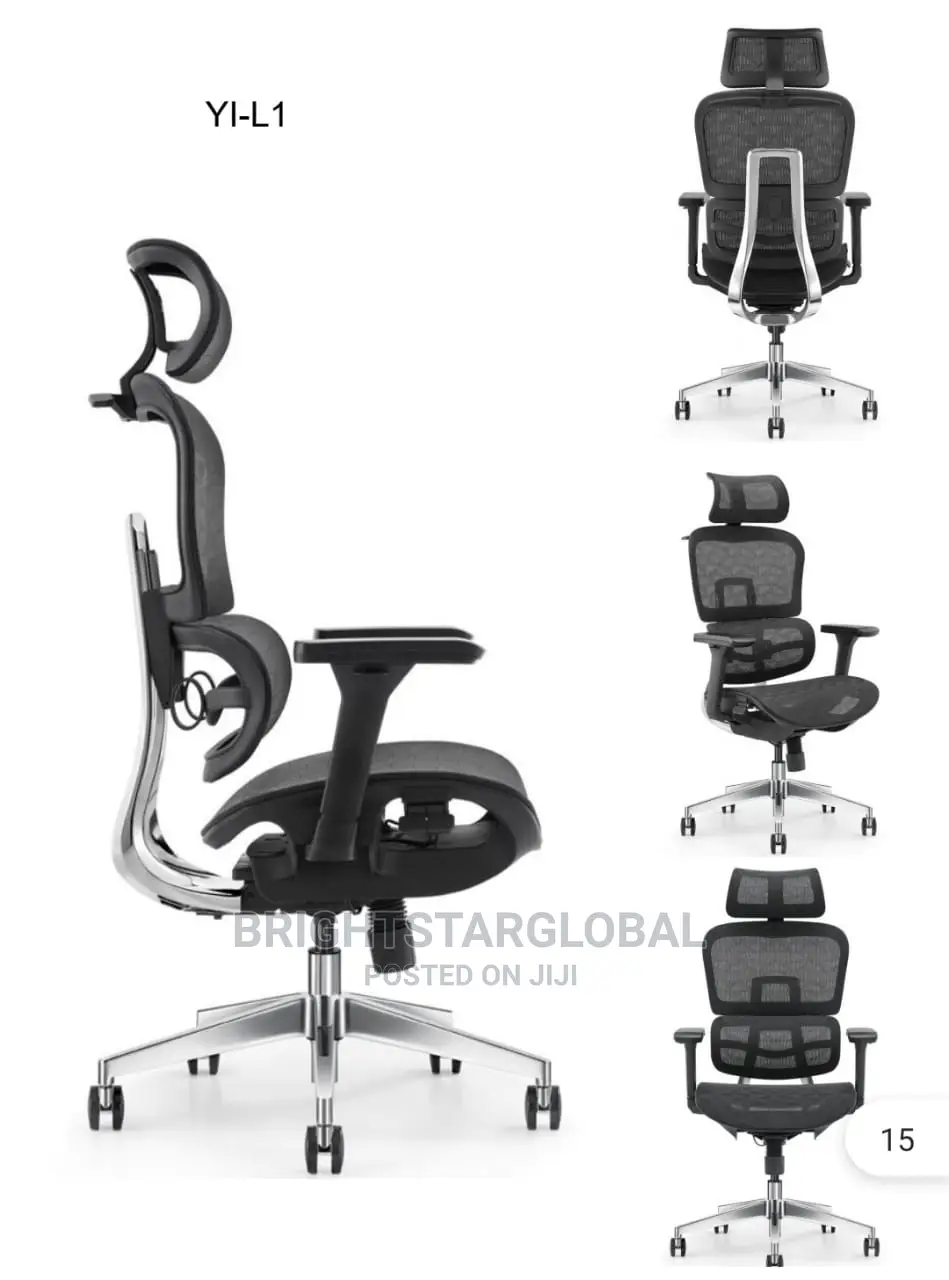 Modern Executive Mesh Swivel Ergonomic Office Chair.