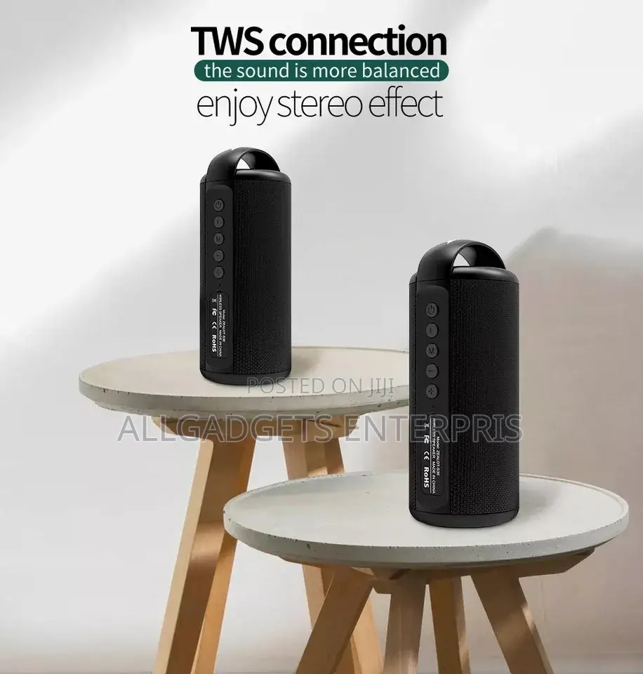 Zealot S36 Portable Subwoofer Speaker