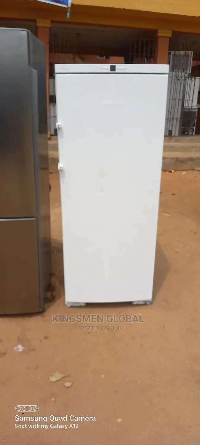 Liebherr Inverter Low Energy Standing Freezer