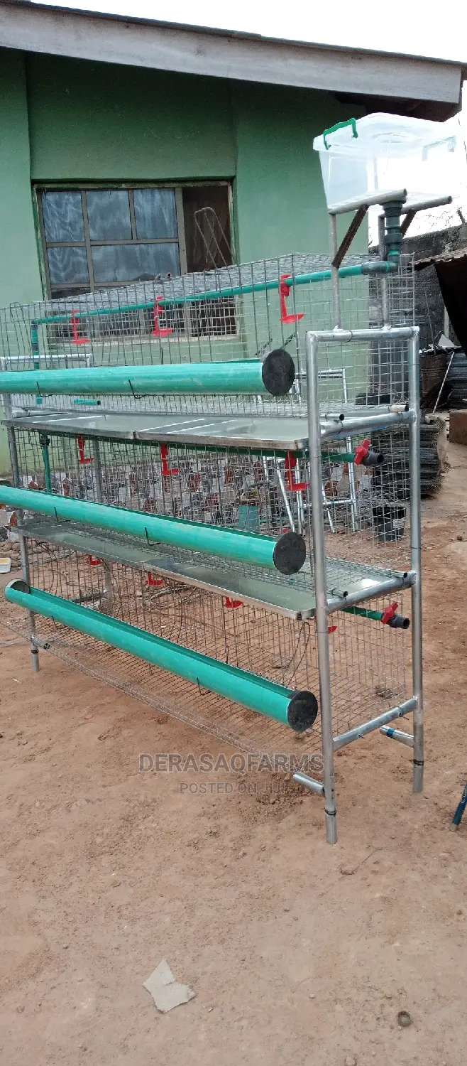 Chicken Cage for Both Broiler and Layers