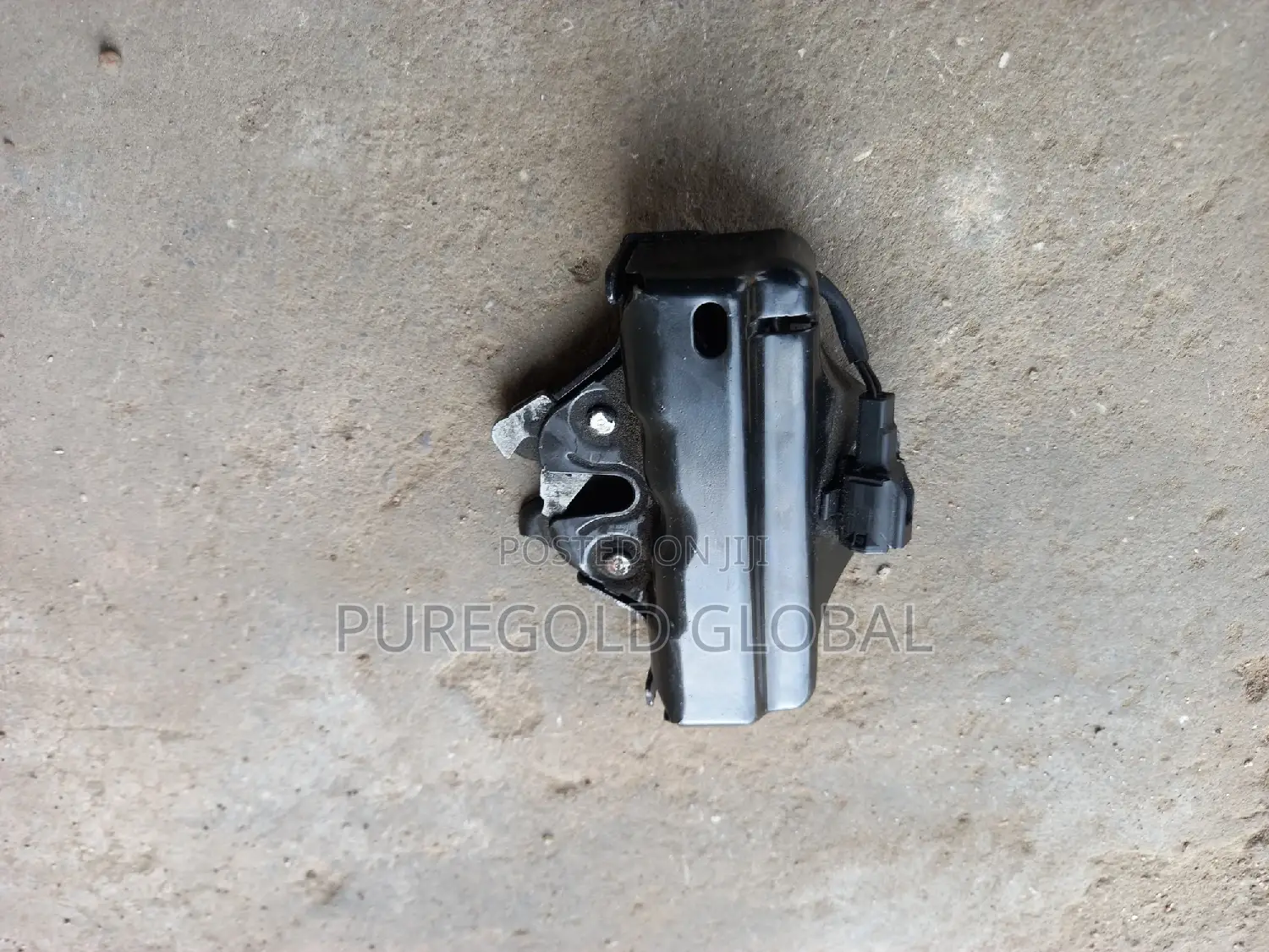 Rx350 2012 and 2018 Model Bonnet Catcher