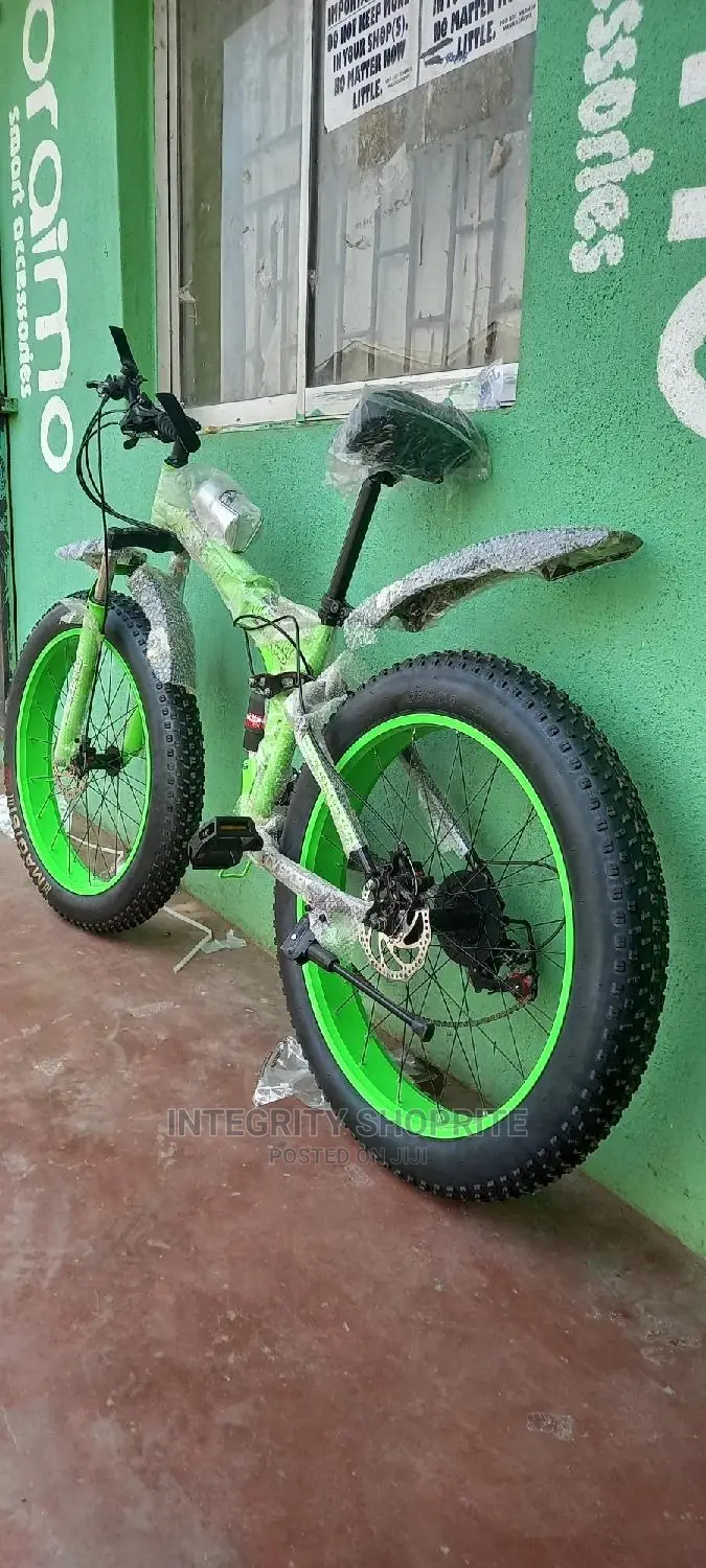 Fat Tyre Cruiser Power Bike