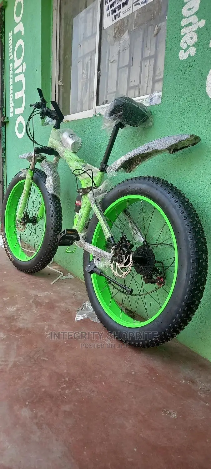 Fat Tyre Cruiser Power Bike