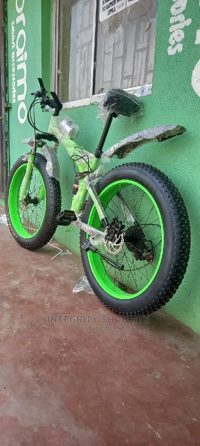 Fat Tyre Cruiser Power Bike