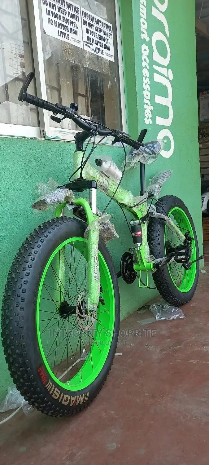 Fat Tyre Cruiser Power Bike