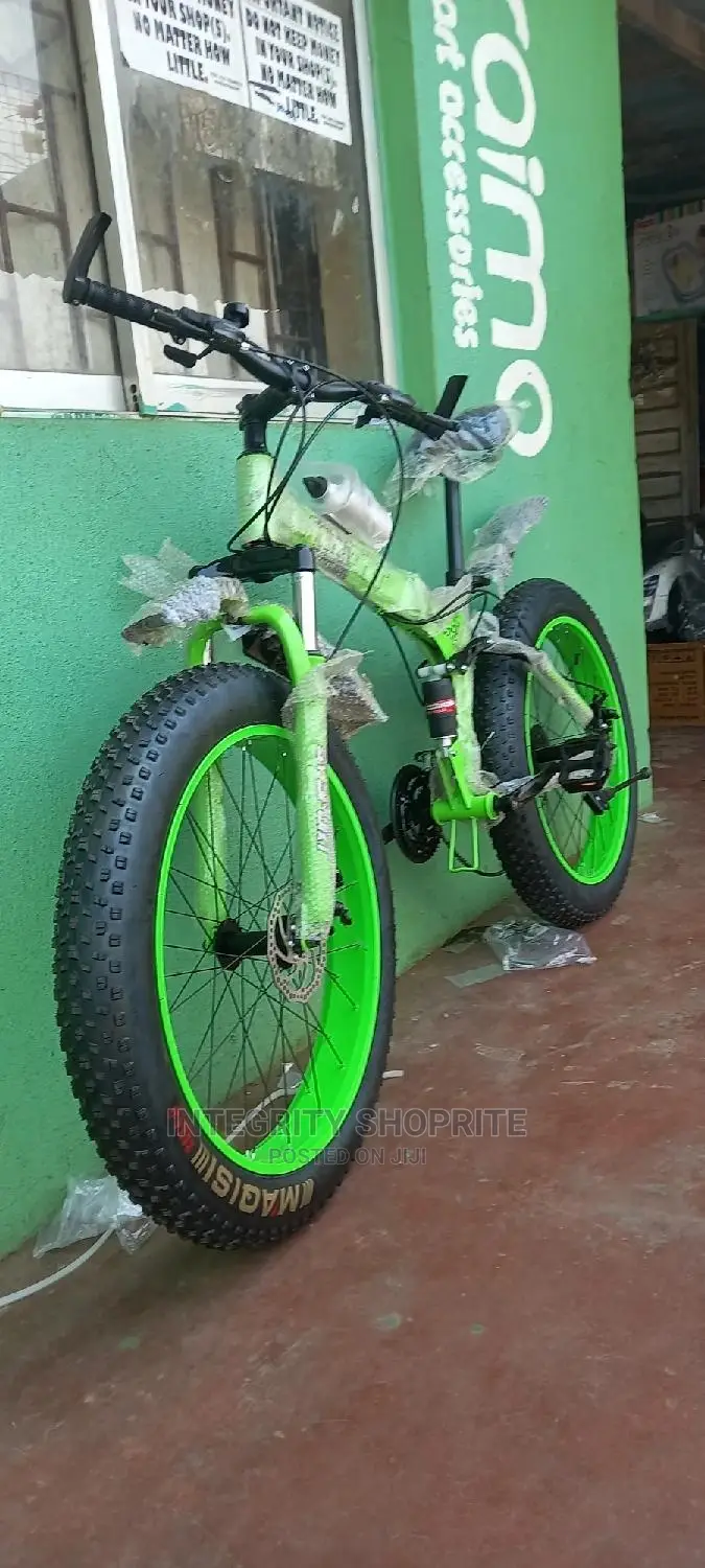 Fat Tyre Cruiser Power Bike