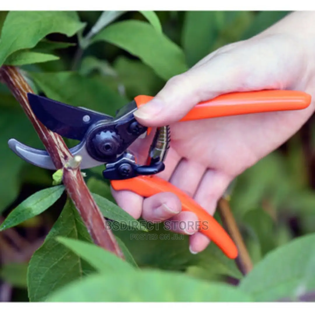 Burgon and Ball RHS-Endorsed Professional Bypass Secateurs
