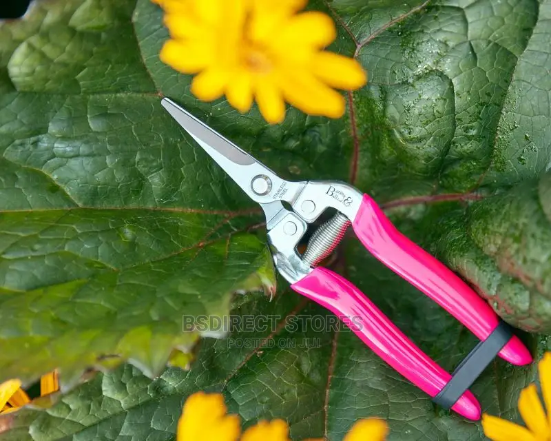 BURGON and BALL RHS Florabrite Flower Fruit Snip Fluorescent