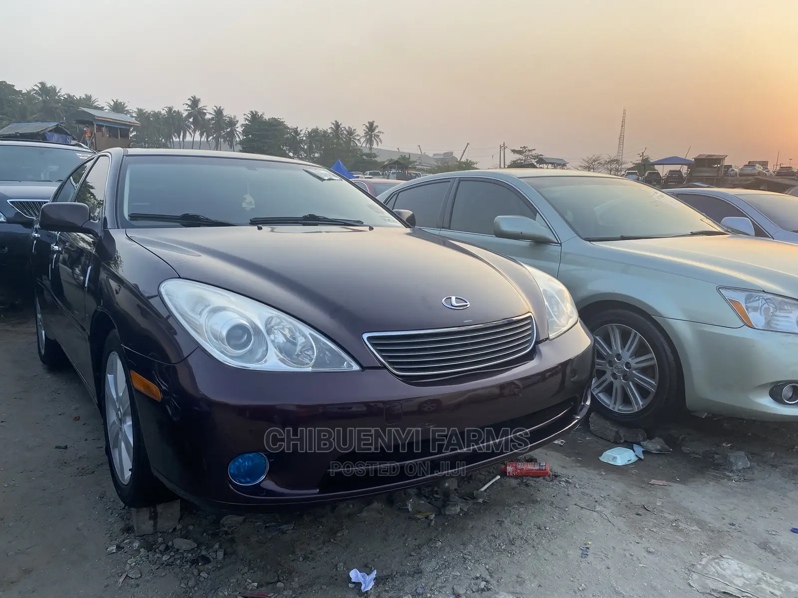 Lexus ES 330 2006 Purple