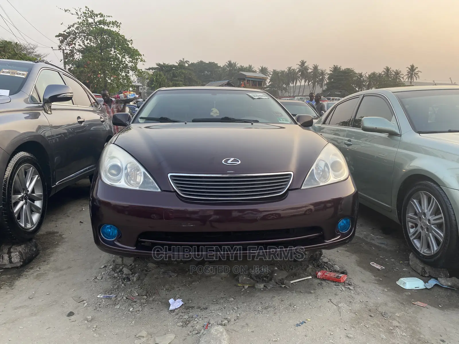 Lexus ES 330 2006 Purple