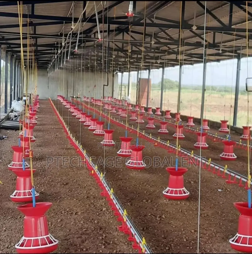 Poultry Drinkers and Feeders