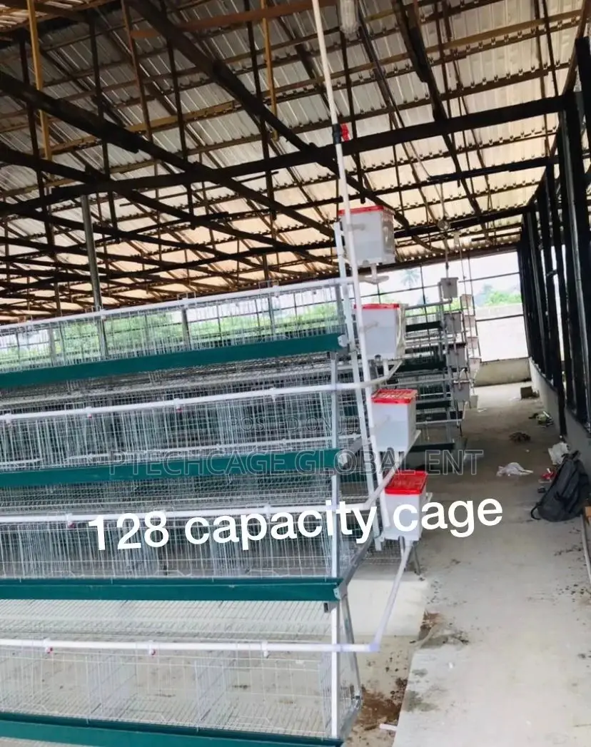 Foreign Poultry Battery Cages