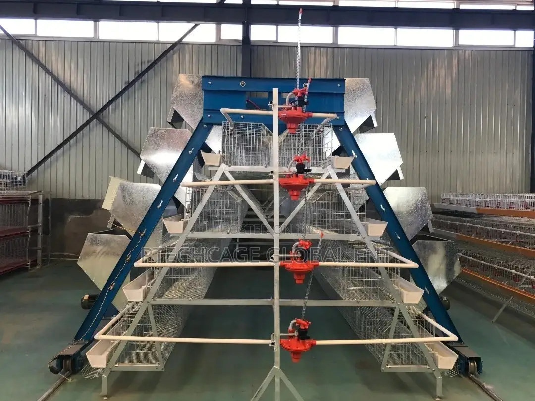 Foreign Poultry Battery Cages