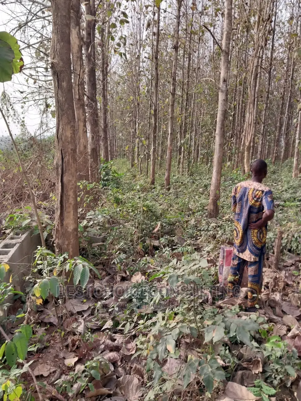 10plots of Lands for Sale at Odeda by the Road Side