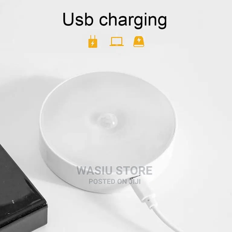 Body Induction Motion Sensor Light