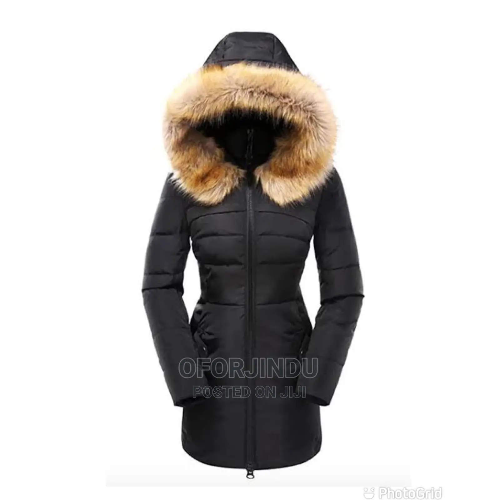 Winter Jacket Foreign Used Original
