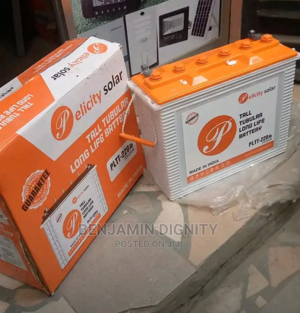 220a Felicity Tubular Battery Battery