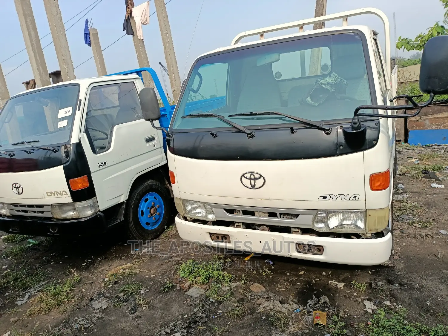 Toyota Dyna 150 (White Color)