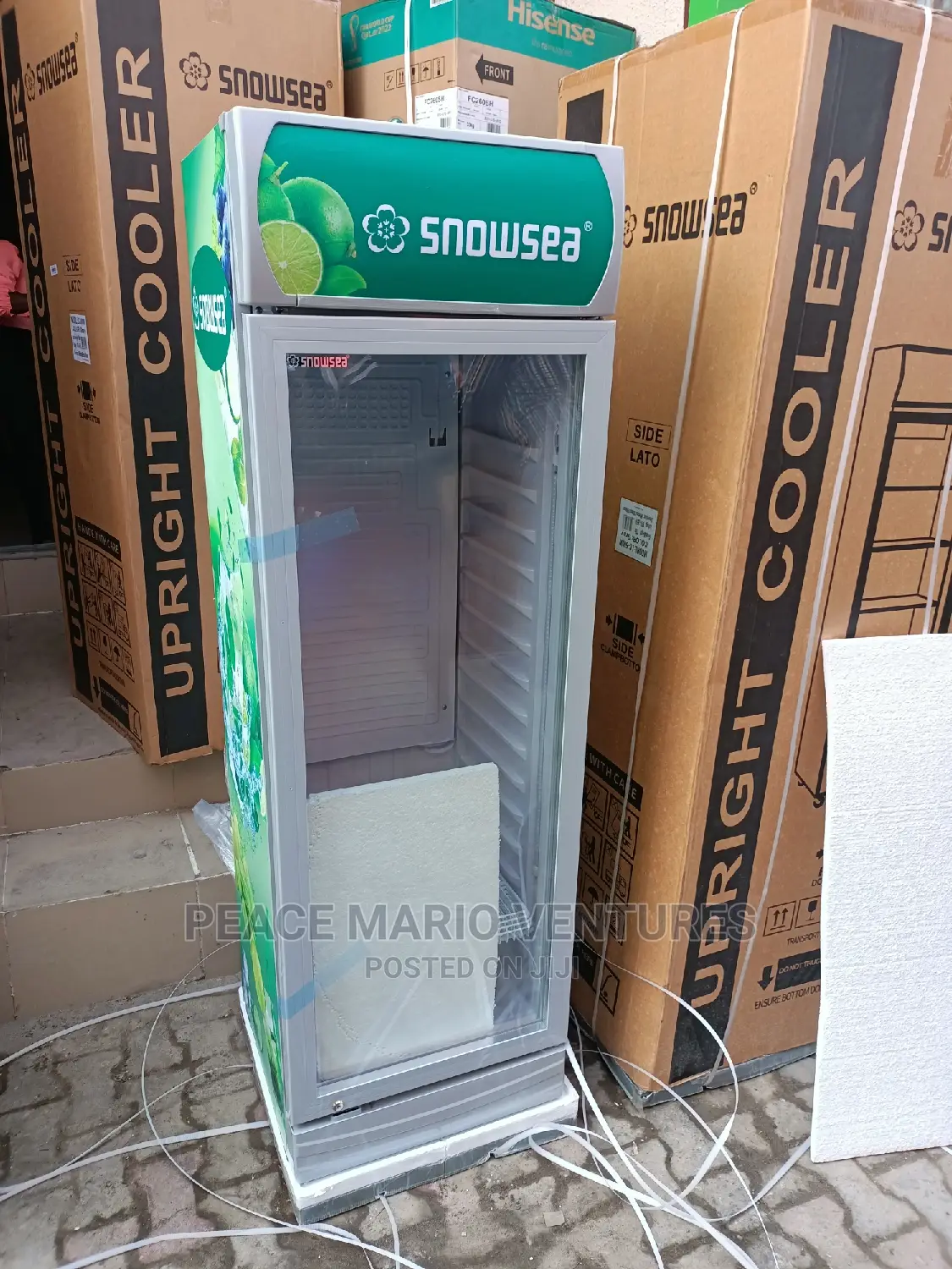 Quality Snowsea Standing Showcase With 3years Warranty 4step