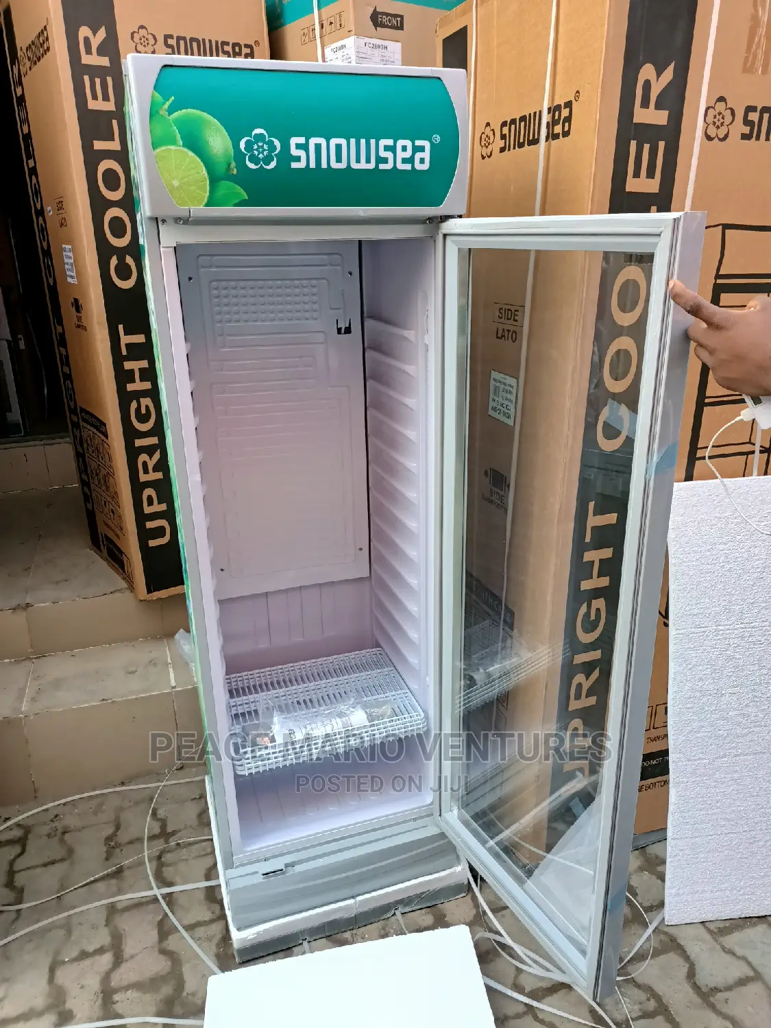 Quality Snowsea Standing Showcase With 3years Warranty 4step